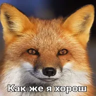 A fox looking pleased with itself beneath the Russian caption ‘Как же я хорош’